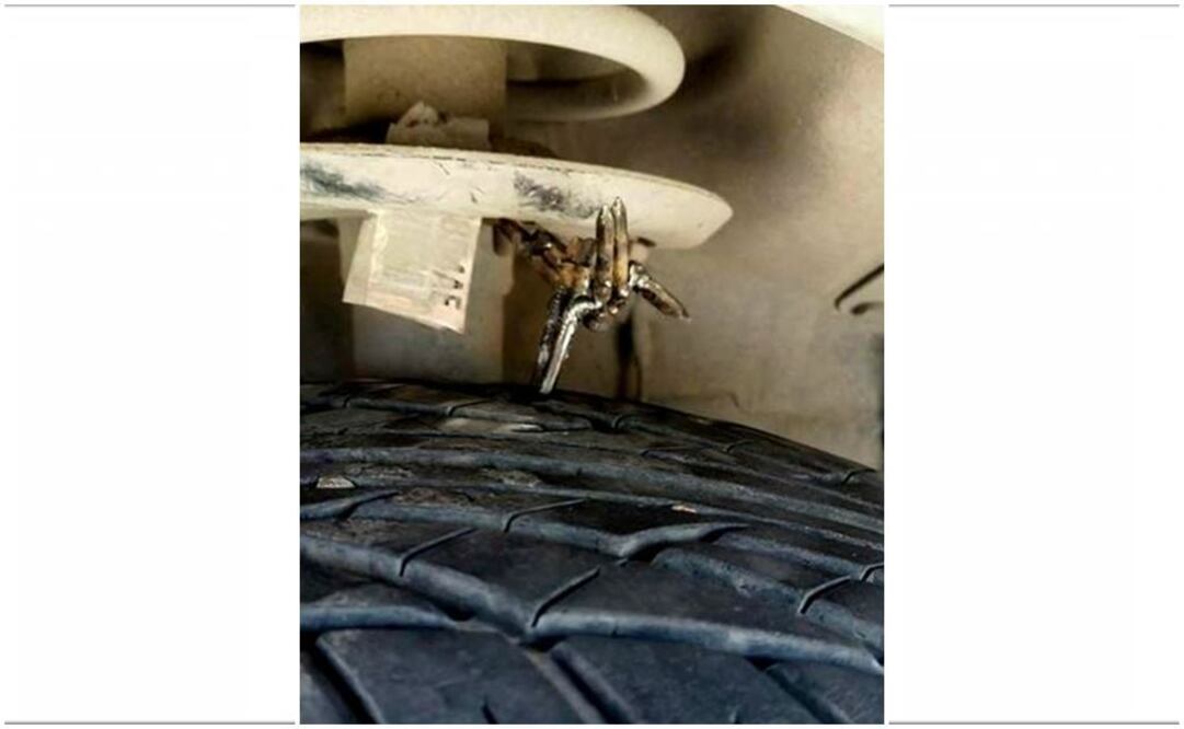 Foto: Archivo EL UNIVERSAL