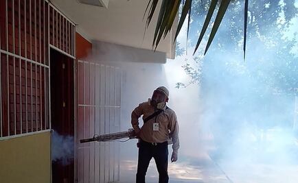 Inicia ciclo emergente de nebulización contra mosquito transmisor del dengue en Quintana Roo