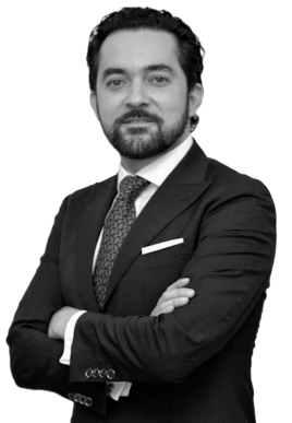 Claudio Ochoa Huerta