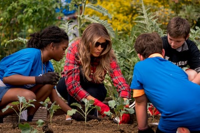 Melania Trump cultiva huerto de la Casa Blanca, creado por Michelle Obama