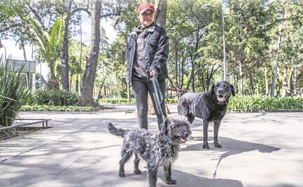 Lento, el registro de mascotas en la CDMX