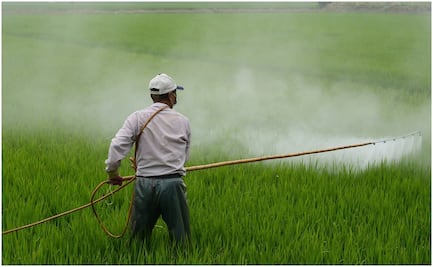 Aprobación de glifosato por la Comisión Europea debe llevar a una discusión para permitirlo en México: CNA