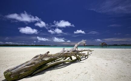 Naufragio cerca de islas españolas deja un niño fallecido y 30 inmigrantes desaparecidos