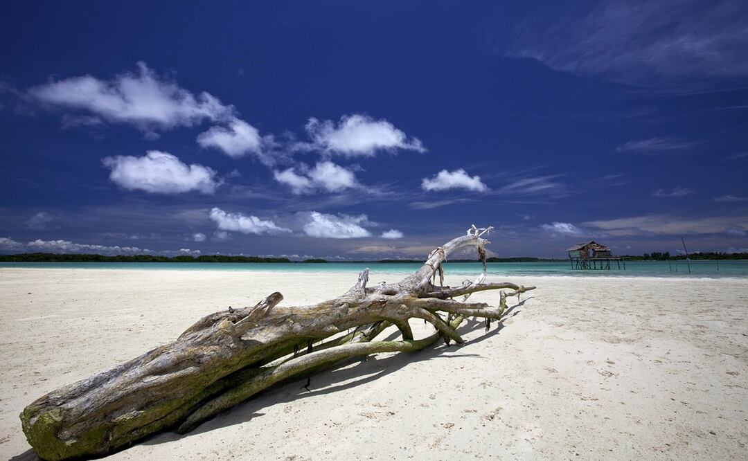 Los primeros informes indican que en Nigeria un barco se volcó y unas 100 personas perdieron la vida. Foto: Ilustrativa. Pixabay