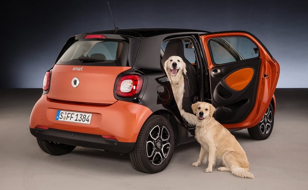 5 consejos para quitar pelo de perro de los asientos de tu auto