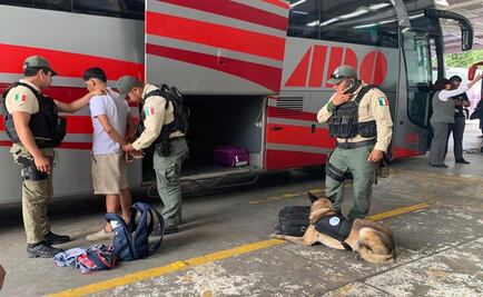 Aseguran droga en equipaje y detienen a 2 en central de autobuses de Xalapa