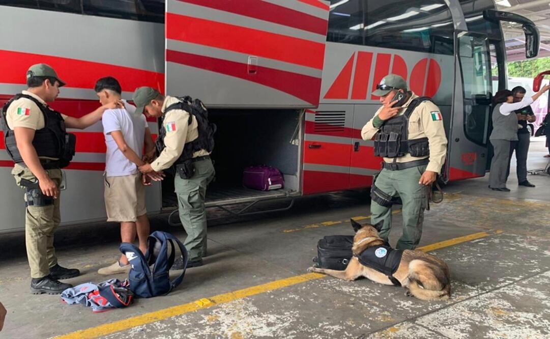 Con el apoyo del agente canino IATAL, se descubrió la droga. Foto: Especial 