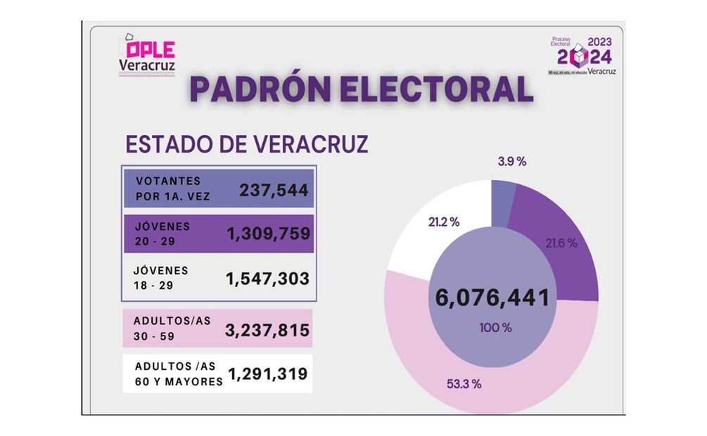 Veracruz: árbitro electoral llama a la madurez política. Foto: Especial