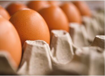 Consejo de Bachoco avala precio de acciones; precio de oferta es razonable, afirma