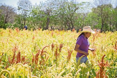 En México, la tierra no es de las mujeres: sólo hay 26% de ejidatarias