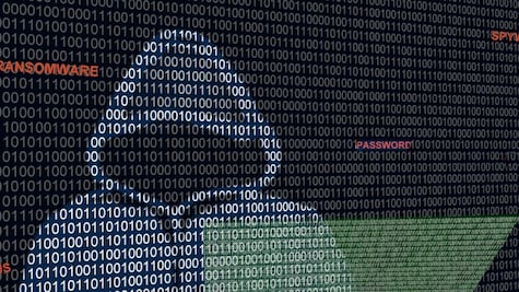 Qué se sabe de Guacamaya, el cibergrupo que reveló los problemas de salud de AMLO