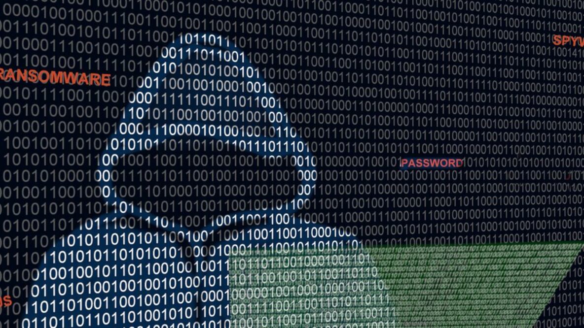 Qué se sabe de Guacamaya, el cibergrupo que reveló los problemas de salud de AMLO