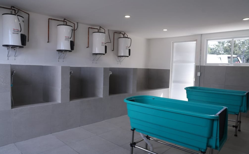 Abre “Xólotl”, nuevo albergue para perros y gatos en CDMX. Foto: Especial