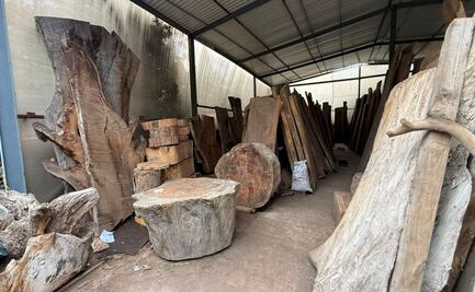 SSC asegura alrededor de 2 mil metros cuadrados de madera en Tlalpan; sellan inmueble