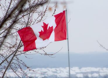 Canadá ofrece a mexicanos 40 mil pesos al mes en este trabajo