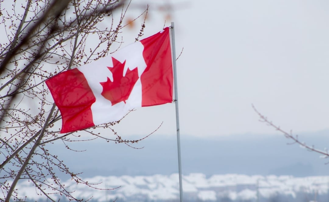 Los aranceles de Canadá se producen en represalia después de que el presidente de Estados Unidos, Donald Trump, anunciara el sábado amplios impuestos al país. Foto: Pixabay