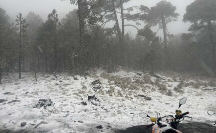 Frente Frío 41 provoca intensa nevada en el Cofre de Perote; Protección Civil de Veracruz mantiene la alerta gris