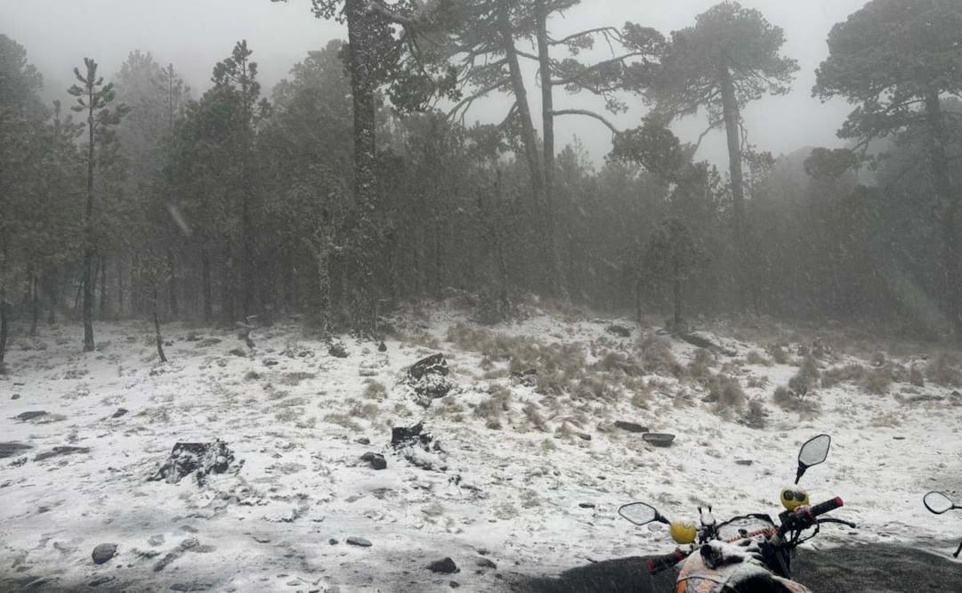 Intensa nevada en el Cofre de Perote, en Veracruz (17/03/2026). Foro: Especial