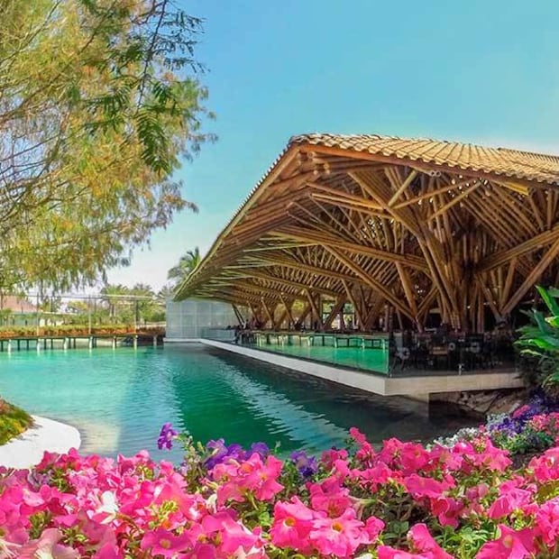 Foto: Jardines de México