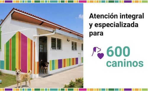 Venustiano Carranza tendrá albergue para 600 perros; proyectan una Utopía de Bienestar Canino