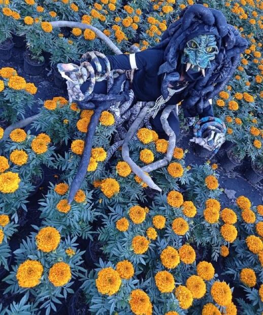 'Sobrenatural': experiencia nocturna en una chinampa en Xochimilco