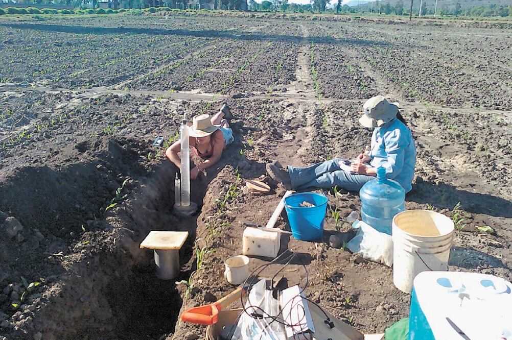 Miembros del equipo de científicos universitarios, trabajando en el lugar. (CORTESÍA DOCTORA PRADO PANO)