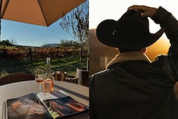 Lánzate a la vendimia de estilo vaquero en un viñedo de Querétaro