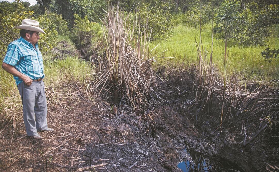 Emilio Domínguez muestra los daños en su terreno que ocasionó un derrame de hidrocarburo el mes pasado, en Papantla, Veracruz. Perdió su cosecha.