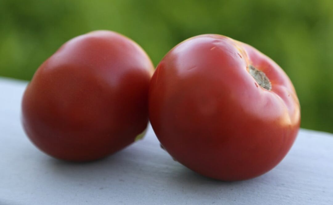 This photo taken June 29, 2009 shows a pair of beefsteak tomatoes - Photo: Eric Risberg/AP