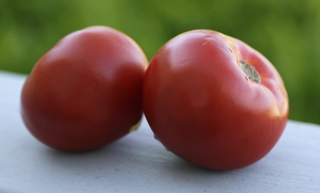 This photo taken June 29, 2009 shows a pair of beefsteak tomatoes - Photo: Eric Risberg/AP