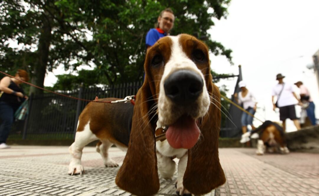 Foto: Archivo/Xinhua