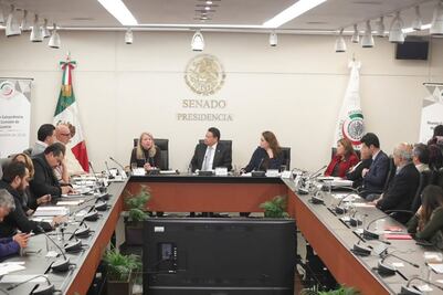 Mi renuncia a Morena fue para despejar dudas de mi independencia: Loretta Ortiz