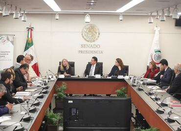 Mi renuncia a Morena fue para despejar dudas de mi independencia: Loretta Ortiz