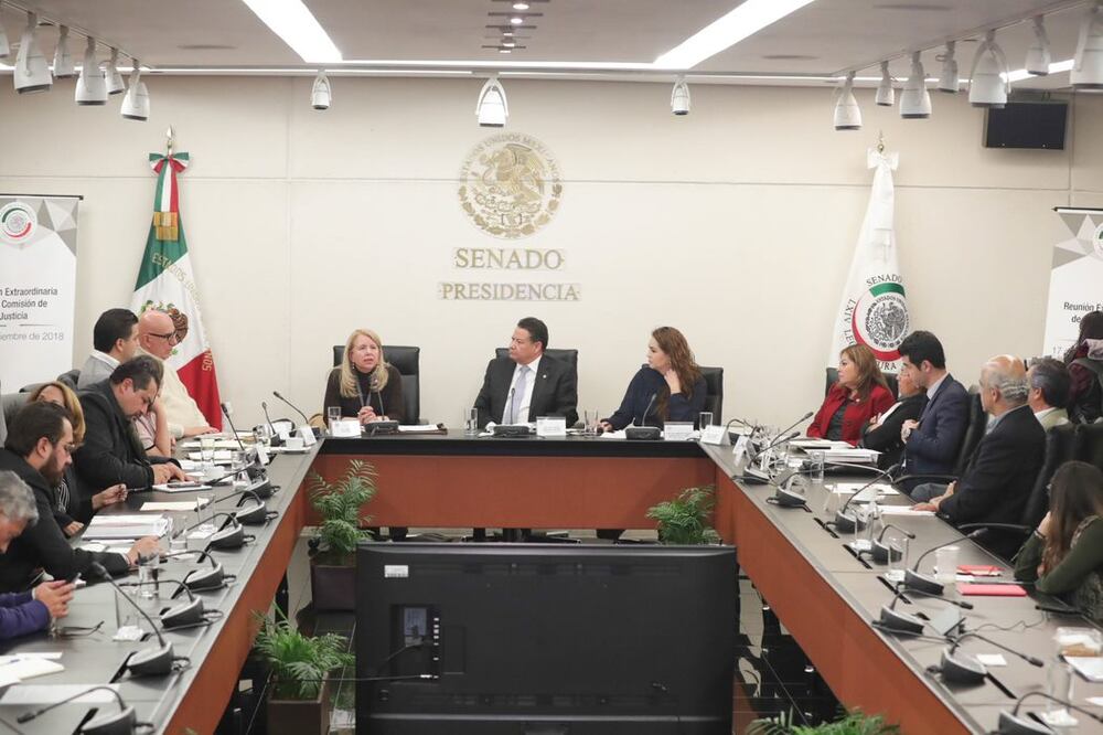 Comparecencia de Loretta Ortiz ante la Comisión de Justicia del Senado (CORTESÍA SENADO)