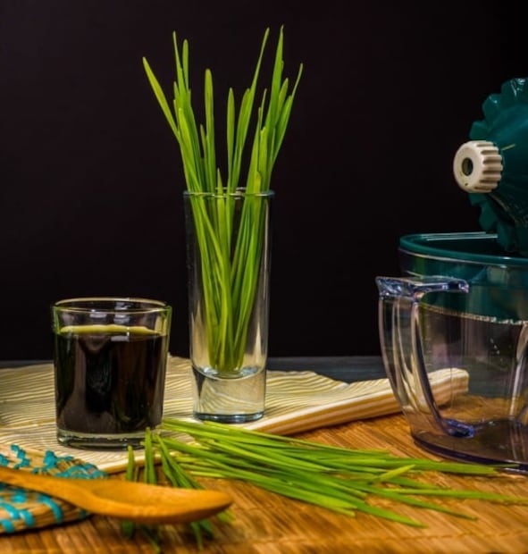 Qué es el pasto de trigo, sus beneficios y cómo consumirlo