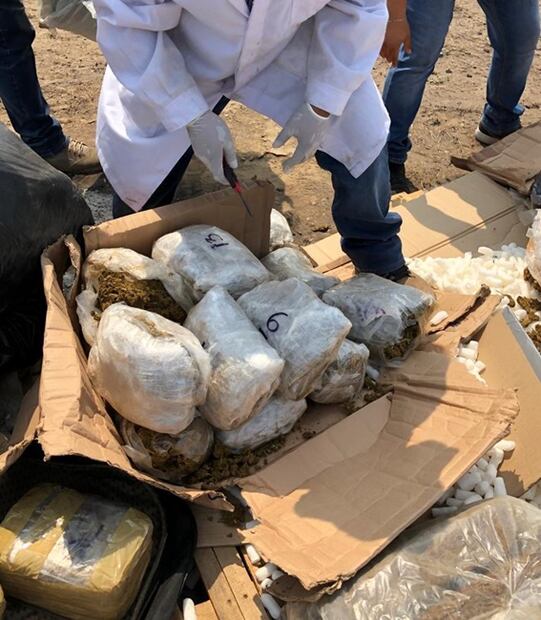 Incineran casi 300 kilos de drogas en Veracruz