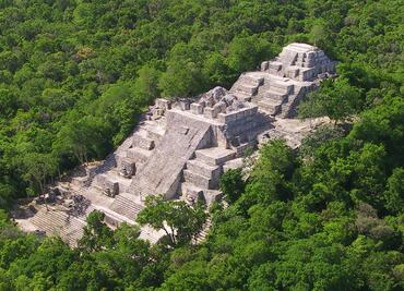 Política forestal atenta contra bosques mexicanos: informe