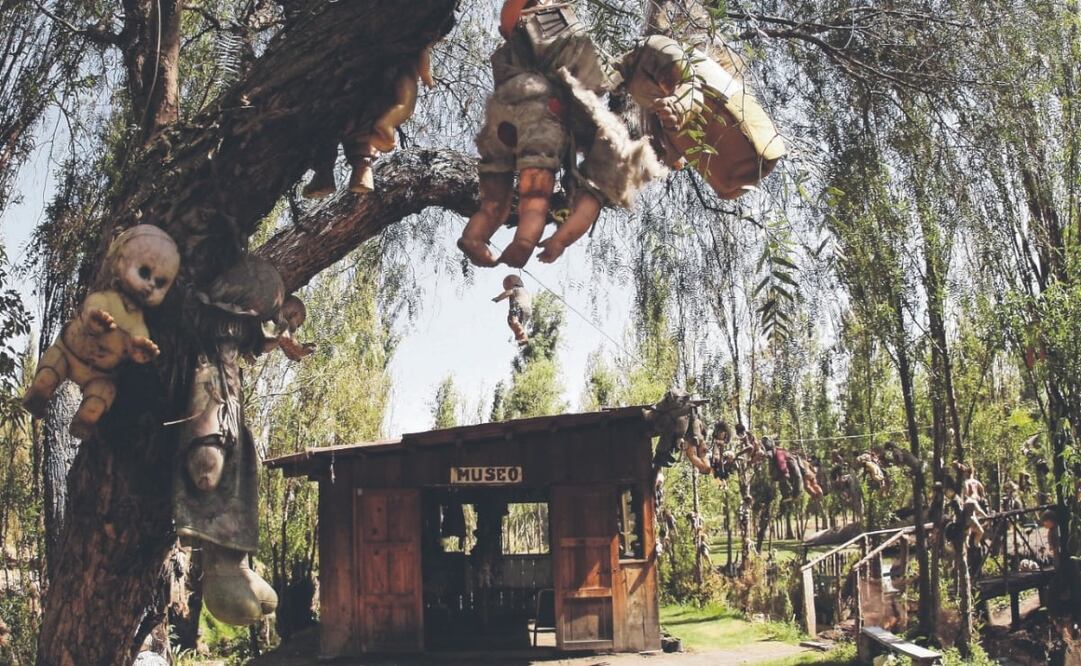 La Isla de las muñecas en Xochimilco. Foto: Archivo El Universal