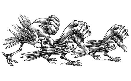 Por qué la democracia no sirve