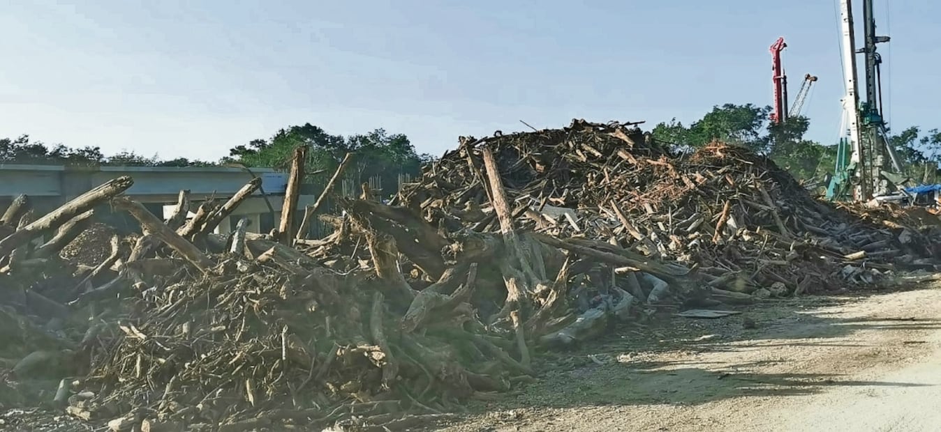 Especialistas han calculado que en la construcción del Tren Maya se han talado entre 8 y 10 millones de árboles. Foto: Adriana Varillas / EL UNIVERSAL