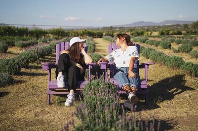 Conoce Lavyn, una granja de lavanda en Tequisquiapan