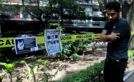 Descartan más muertes de perros en La Condesa