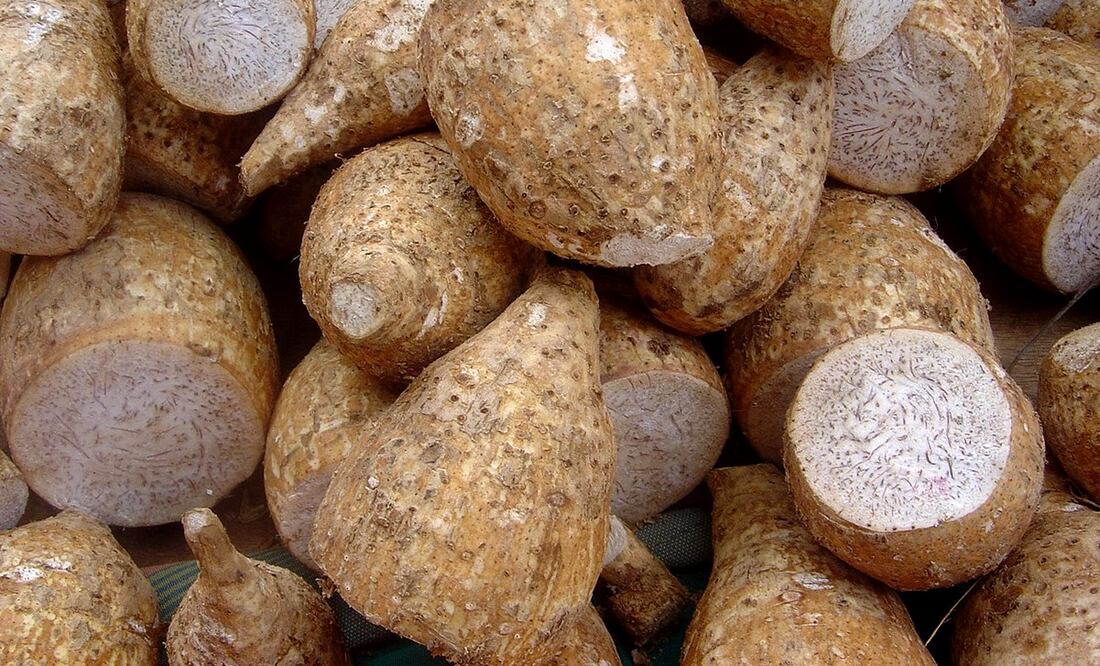 El taro, conocido como “la raíz morada”, es cada vez más utilizado en bebidas y postres en México. Foto: Freepik