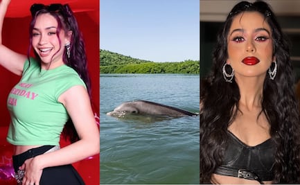 Influencers exigen detener planta de amoniaco en Topolobampo; aseguran que pone en riesgo el hogar del delfín “El Pechocho”