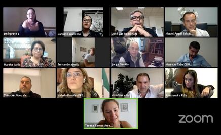 Exige diputada Teresa Ramos dejar de reconocer al Verde como grupo parlamentario