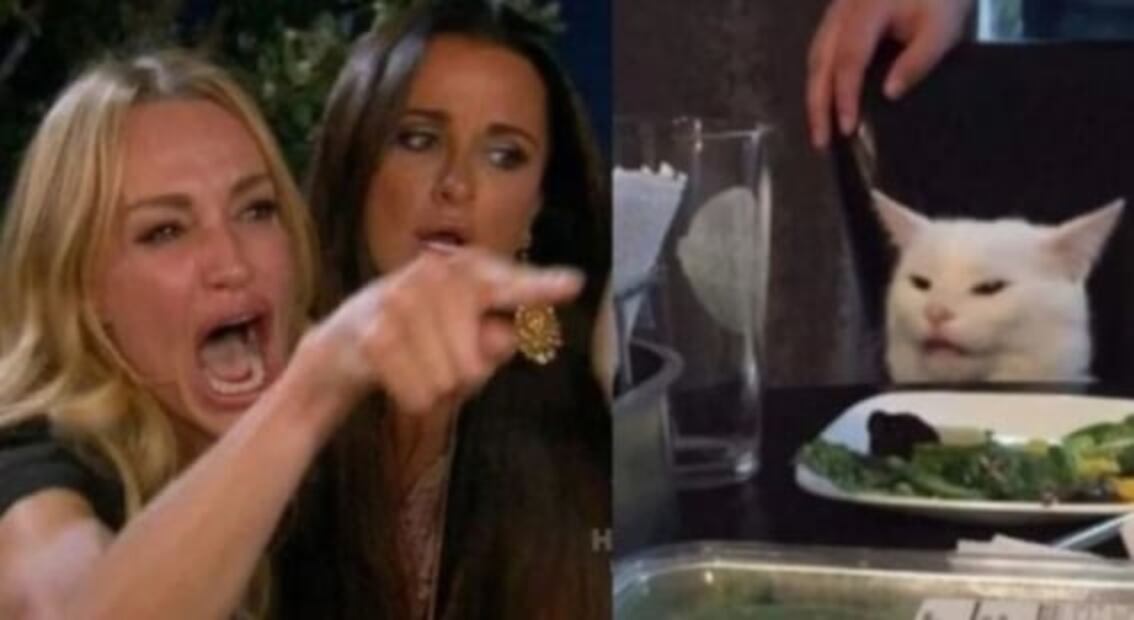 Vamos a celebrar el día del gato con los mejores 5 memes