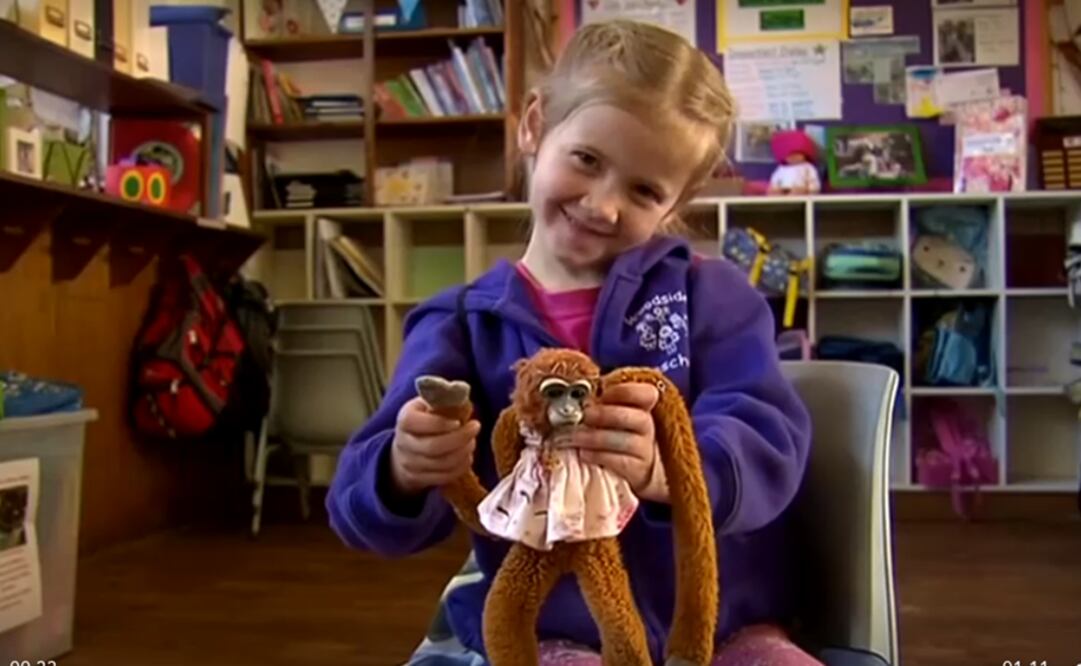 Foto: Captura de pantalla