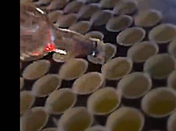 "Es un clasista y racista"; Identifican a sujeto que vertió alcohol en bebidas hidratantes del Maratón CDMX