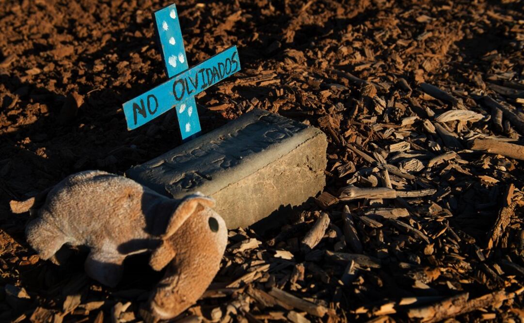 It is more difficult for children to understand what constitutes sexual abuse - Photo: Jim Watson/AFP