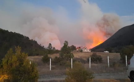 Incendio forestal en la Sierra de Arteaga, Coahuila, destruye dos mil hectáreas